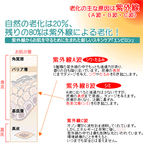 光老化の原因図