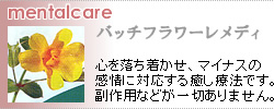 フラワーレメディ（花療法）