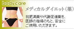 メディカルダイエット（ダイエット薬）