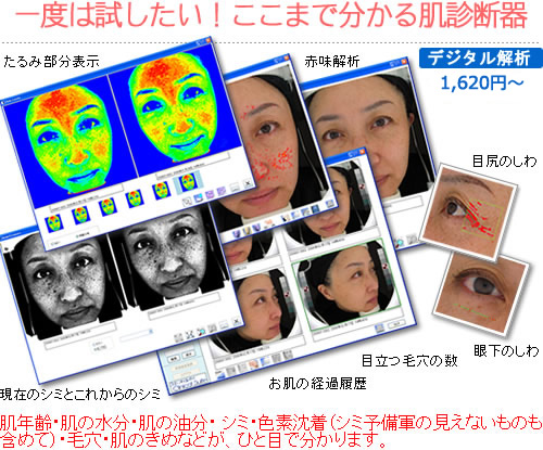 肌診断結果