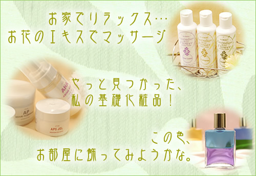 オリーブブランチ（美容と癒しグッズのショップ）