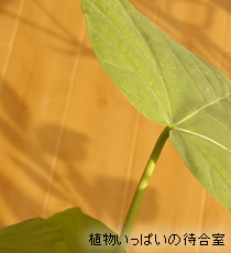 サロン内待合室